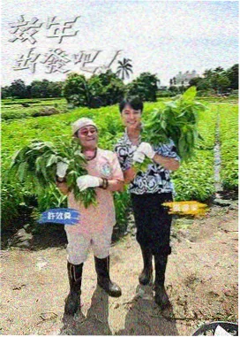高球鹰雄